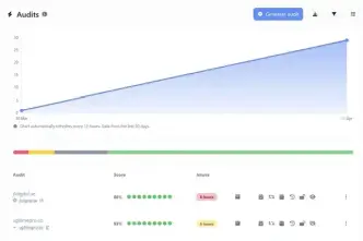 Screenshot of the public app audit page